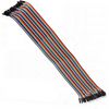 40P Dupont Color Cable Male to Female, 20cm