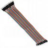 40P Dupont Color Cable Male to Male, 20cm