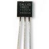 DS18B20 1-Wire Temperature Sensor