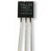 DS18B20 1-Wire Temperature Sensor