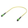 Ubiquiti UACC-OFC-SA-MPMP-0.5M, OS2 MPO-12 APC Fiber Patch Cable, 0.5 Meter Ubiquiti UACC-OFC-SA-MPMP-0.5M, OS2 MPO-12 APC Fiber Patch Cable, 0.5 Meter